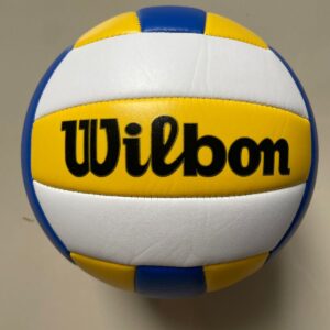 Pelota Vóley Wilbon
