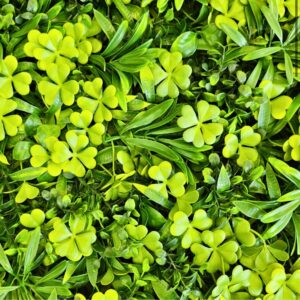 Jardin Vertical Premium