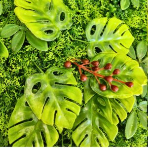 Jardin Vertical Selva