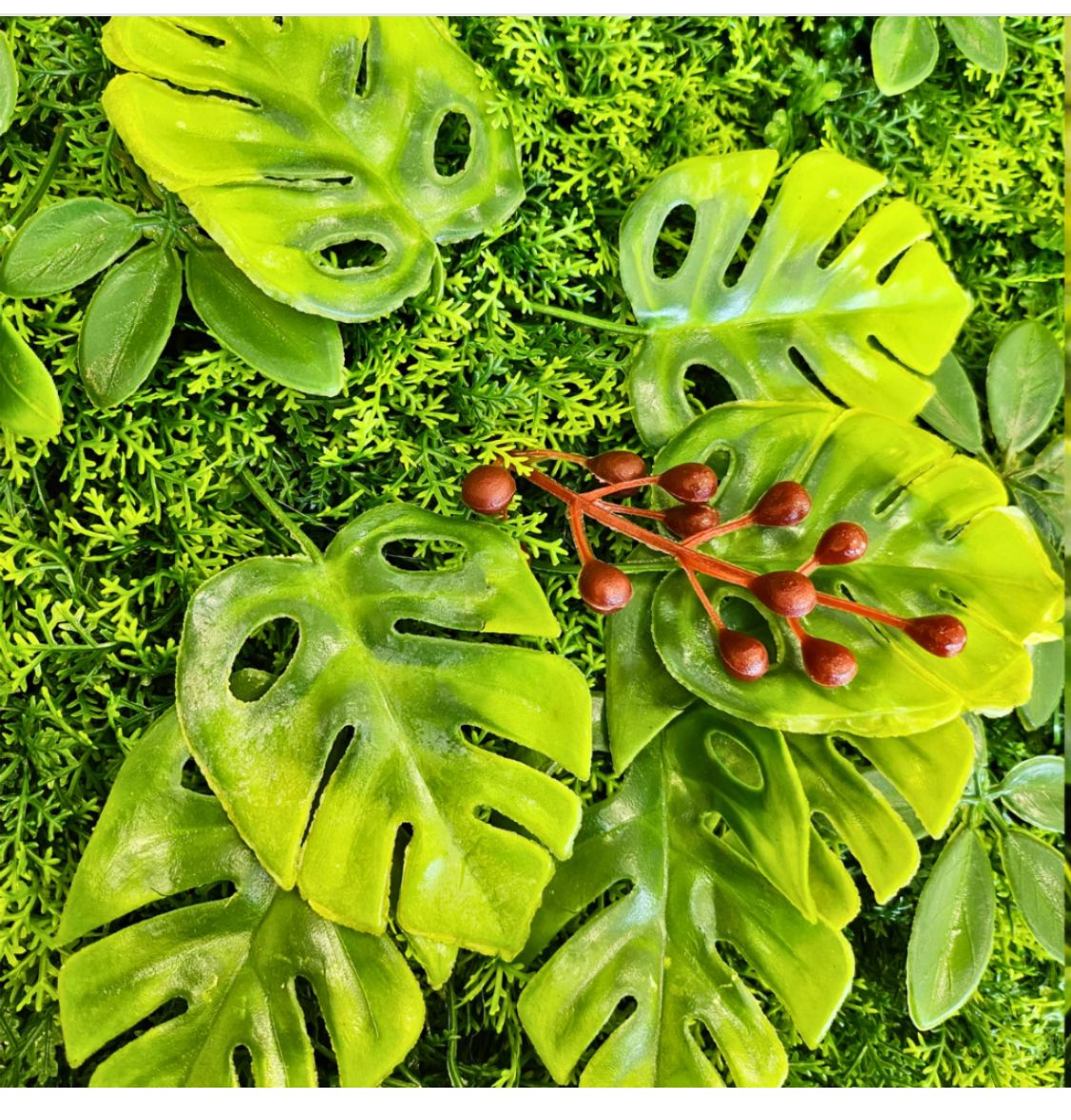 Jardin Vertical Selva